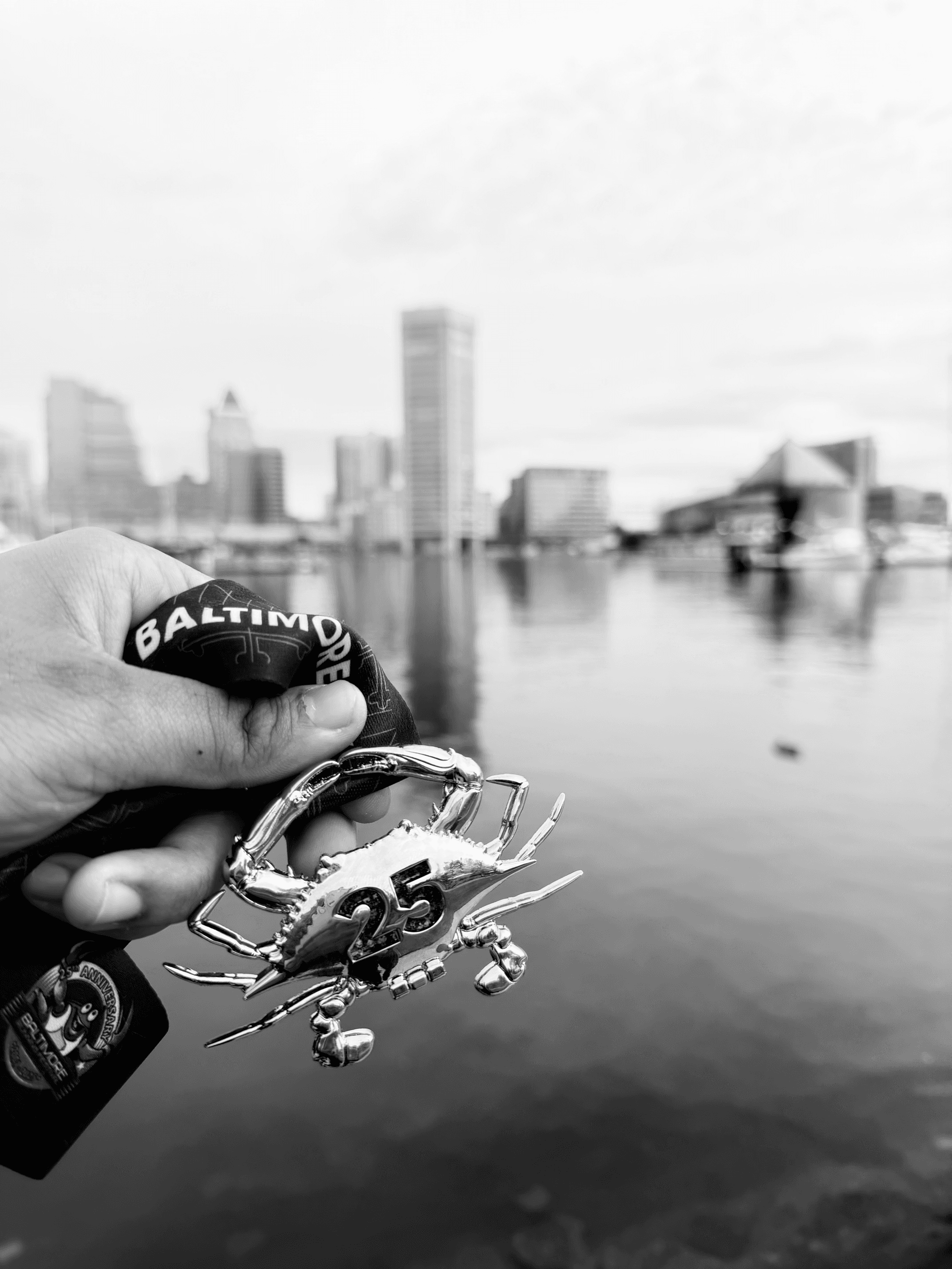 Baltimore 25th anniversary crab medal in front of the Inner Harbor